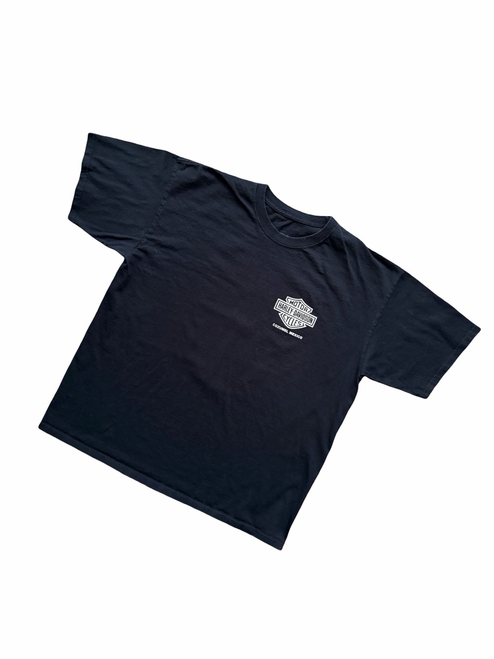 Harley-Davidson Graphic T-Shirt